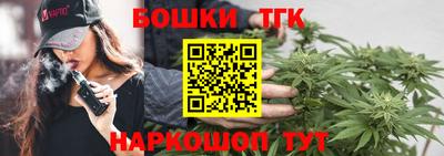 прущие грибы Кандалакша