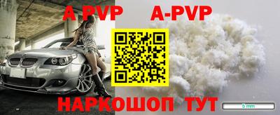 прущие грибы Кандалакша